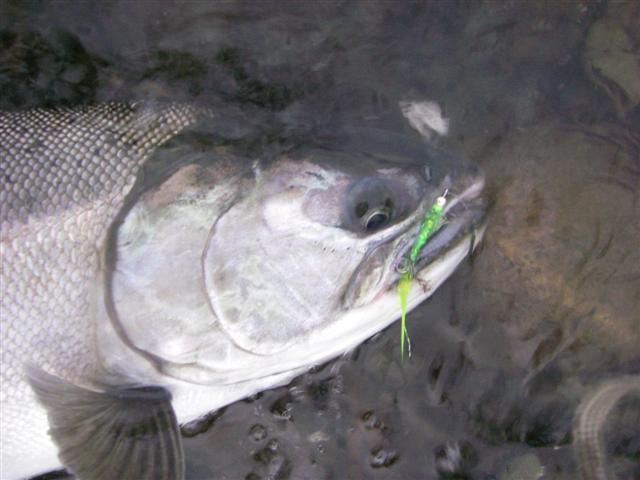 Fishing & Boating