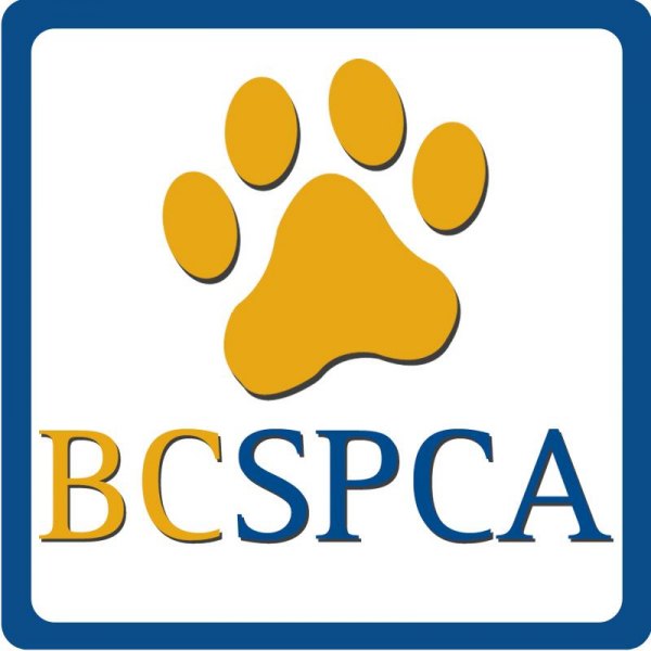 BC SPCA