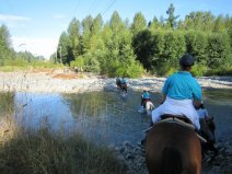 Paradise Acres Ranch